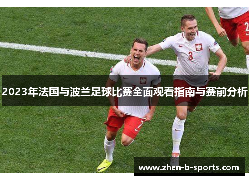 2023年法国与波兰足球比赛全面观看指南与赛前分析