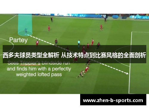 西多夫球员类型全解析 从技术特点到比赛风格的全面剖析